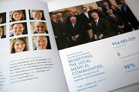plico-annual-report-directors