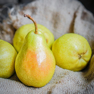 pear_300x300